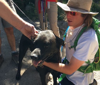 Owner Jason is reunited with his Lab, Stanley, after hero hikers freed him from a log he was trapped under.