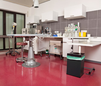 Vet exam room