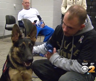 An Iraq war veteran was surprised with Scarlet, a service dog, at a Giants game Sunday.