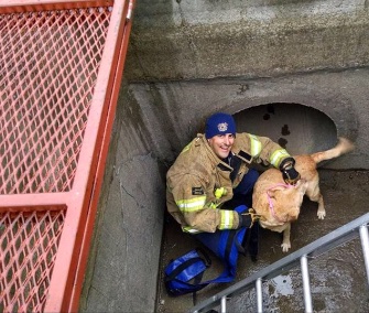 Zeta was thrilled to be rescued from the drainage system where she was trapped last week.
