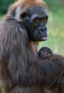 Lia and Baby