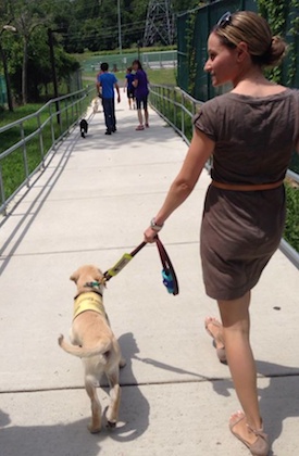 Tatyana Litvak brought her second guide dog puppy, Memphis, home in July. Her first graduated from the Guide Dog Foundation in June.