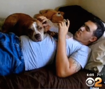 Delta Airlines says it's still searching for Frank Romano's dog, Ty, who went missing while boarding a flight in Los Angeles.