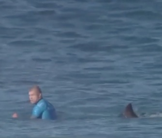 Australia pro surfer Mick Fanning fought off a shark attack at a competition in South Africa Sunday.
