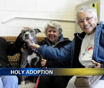 A group of nuns adopted Remy, a 9-year-old Pit Bull, in New York.