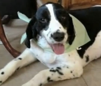 Hendrix is recovering from his extra-long journey to Arizona.