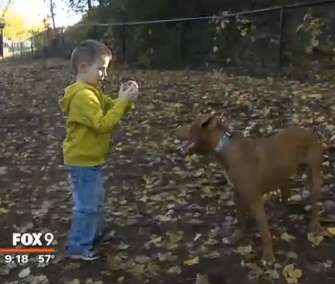 TaterTot is being credited with saving Peyton from a dangerous dip in his blood sugar level.