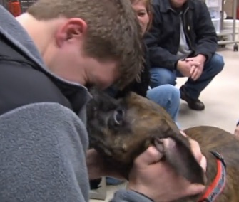 carmen pet pup heroic survives scoop escort seal police gets sea dog released hospital