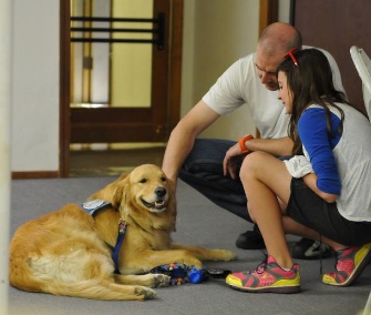 Two teams of comfort dogs spent the holiday weekend working in Arizona.