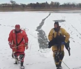 Colorado Springs firefighters saved two dogs from an icy lake.