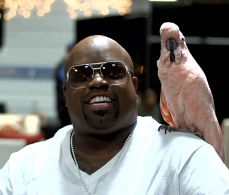 "The Voice" judge Cee Lo Green has a new sidekick: Lady the cockatoo.
