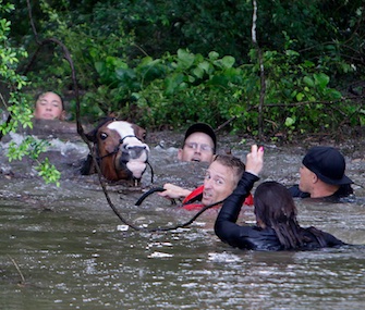 Justin Nelzen, wearing a red vest, joins others to rescue up to 70 horses along Cypresswood Drive in Houston.