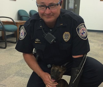 Marley, who was thrown into busy traffic, was adopted by a police officer in Midland, Texas.
