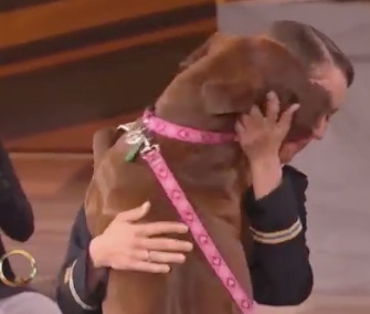 Emma the dog welcomes home her owner, Capt. Jessamyn Jempson.