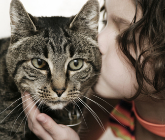 Cat and Little Girl