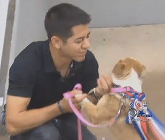 Airman Tom Burright is reunited with his Afghan puppy, Lyla.