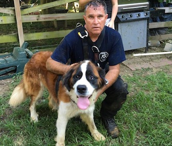 Mabel, a Saint Bernard, was saved from the bottom of a 30-foot dry well outside her Maryland home.