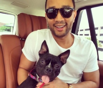 Singer John Legend and his wife, model Chrissy Teigen, adopted a three-legged puppy named Penny.