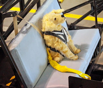 Center for Pet Safety dog dummy