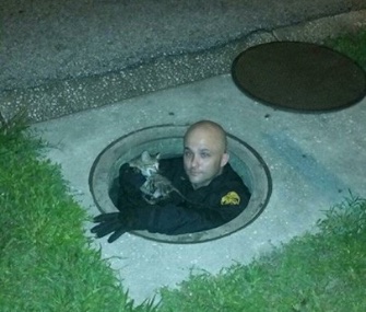 A police officer in Tampa climbed into a manhole to rescued a trapped kitten.