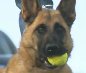 Donna, a bomb-sniffing dog, was reunited with Army Specialist Tyler Roberts in Colorado Wednesday.