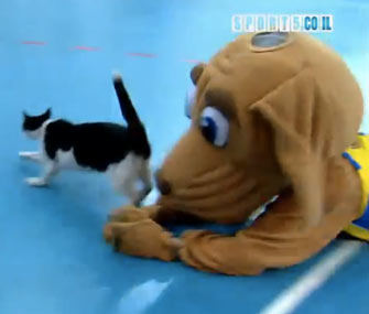 Dog mascot tries to tackle cat at basketball game