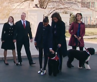 First dogs Sunny and Bo were part of the group receiving the White House Christmas tree on Friday.