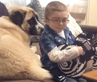 Owen Howkins plays his guitar alongside his three-legged canine companion.