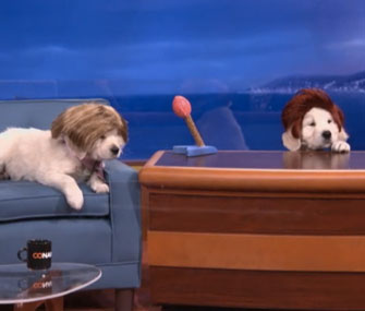 Puppy Conan