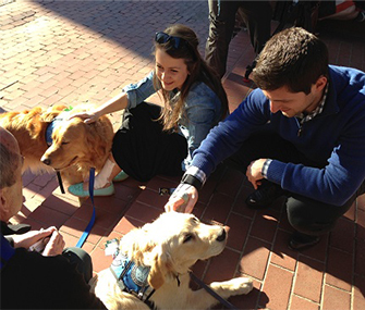 A couple who were injured in Monday's blasts visit with two of the comfort dogs.