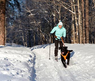 Skijoring
