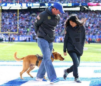 Iraq war veteran Steve Devries was surprised with a service dog, Levi, at a New York Giants game.