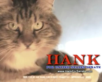 Hank the Cat for Senate