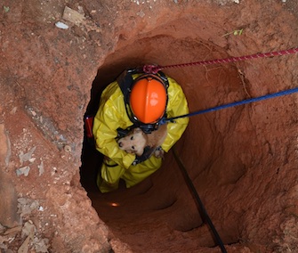 A yellow Lab puppy was saved from a 75-foot well in Georgia Sunday.