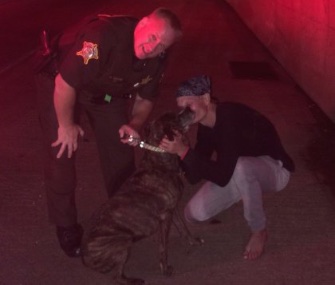 Hero officer Dan Murchek reunited Bella with her owner after saving her from a burning vehicle.