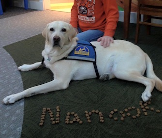 Nanook offers comfort at the Michael's House Child Advocacy Center in Ohio.