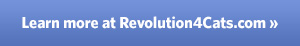 Learn more button