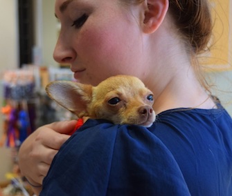 Eevee gets a hug from her new owner, Maggie.