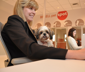 Dog at Bissell
