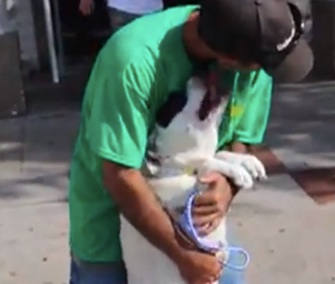 Weeks after she was lost, Daisy was thrilled to be reunited with her owner.