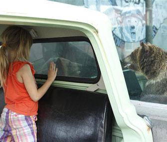 girl in truck with bear