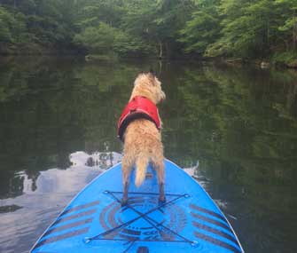 Jack SUPing