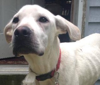 Tucker survived for three weeks in the Maine woods after suffering an injury in a car crash.