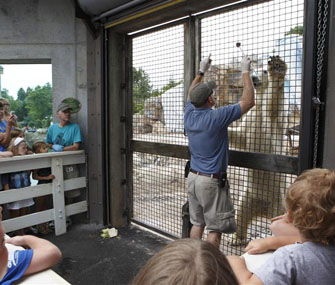 trainer and bear at a zoo exhibit