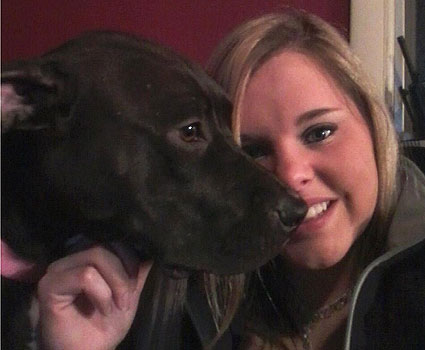 Jewel the pit bull