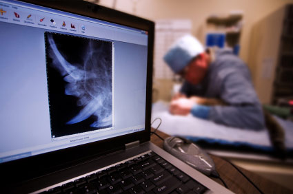 Veterinarian working on animals teeth with mouth X-ray in foreground