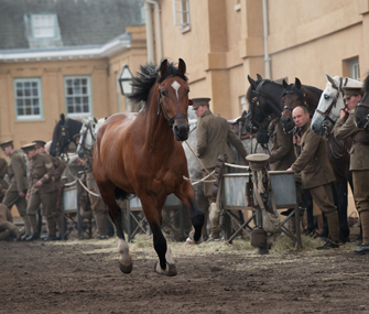 Joey runs through the army stables in this scene from War Horse