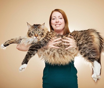 Ludo the Maine Coon has been named the longest cat alive.