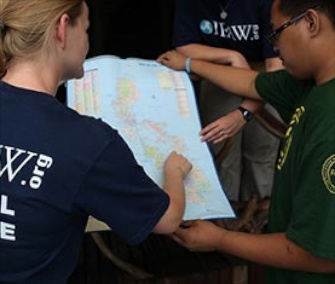 Rescuers work together to assess the situation in the Philippines.