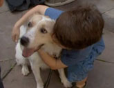 Natalie Morales' rescue dog, Zara, gets a hug from the news anchor's son.